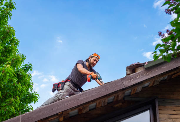 Best Gutter Installation and Repair  in Wyoming, DE